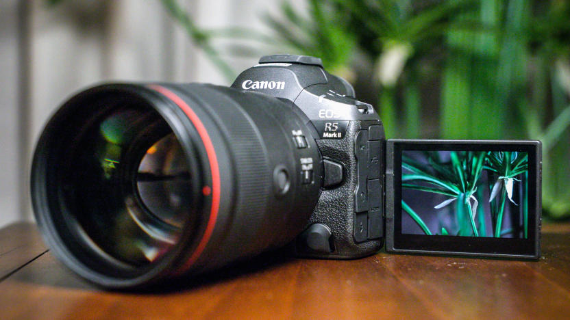 Canon EOS R5 II hands-on: 30fps shooting speeds and 8K 60p RAW video