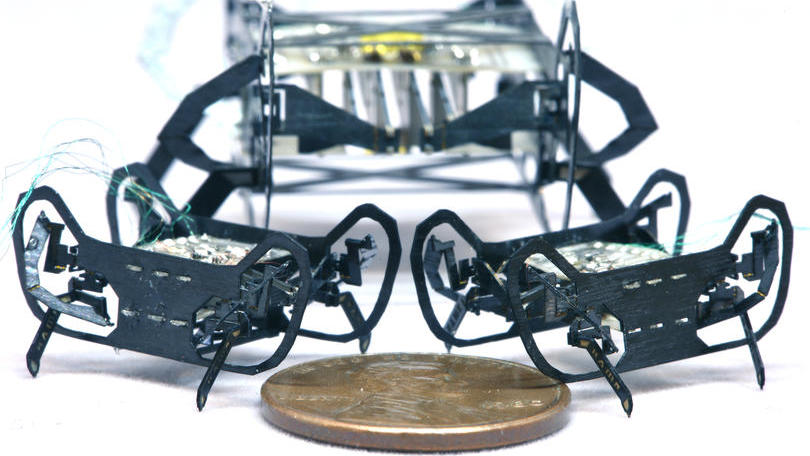 Harvard's HAMR-JR microrobot