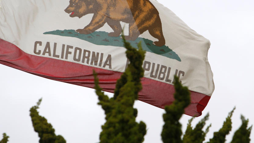 The California flag flies above City Hall in Santa Monica, California February 6, 2009. More than 200,000 state workers stayed home without pay as part of a cash-saving effort by Governor Arnold Schwarzenegger to tackle California's mounting budget problems, according to local media.  REUTERS/Lucy Nicholson (UNITED STATES)