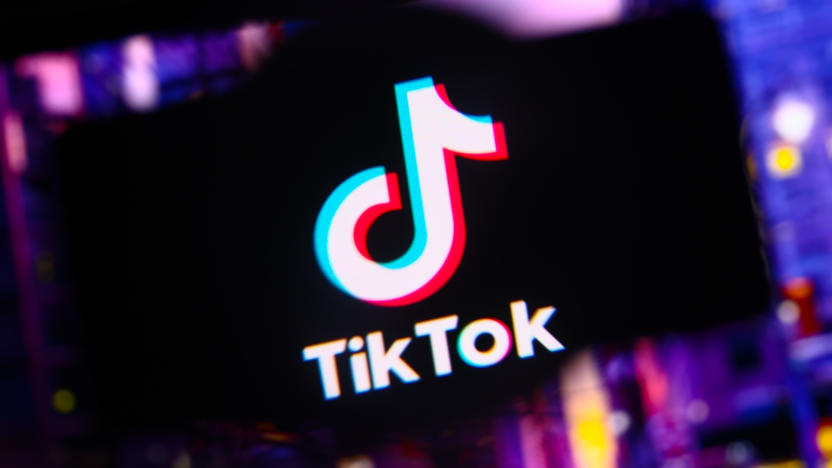 TikTok logo is screened on a mobile phone for illustration photo. Krakow, Poland on October 17th, 2024. (Photo by Beata Zawrzel/NurPhoto via Getty Images)